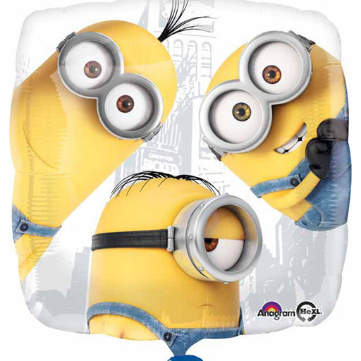 Despicable Me Balloon Package.
