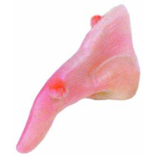 "Witch Nose With Elastic - Complete Your Witch Costume"