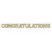 "Colorful Congratulations Streamer For Celebrations (1/Pkg)"