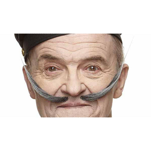 Pointed Moustache Black/Grey - Costume Accessory