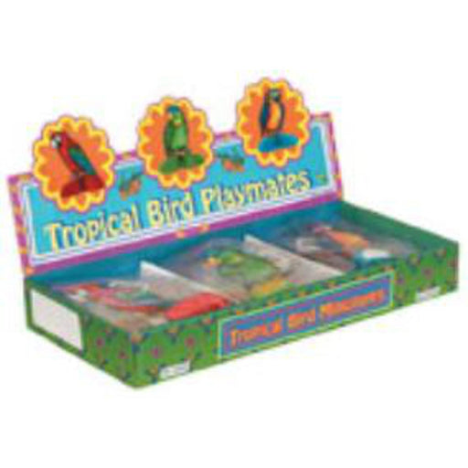 Tropical Bird Mini Display (36/Dis)
